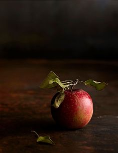 an apple sitting on top of a table next to a leafy branch in a vase