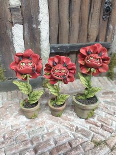 three red flowers with green leaves in small clay pots on brick ground next to wooden fence