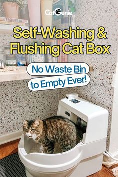 Self washing and flushing cat box. no waste bin to empty ever. Best Self Cleaning Cat Litter Boxes, Best Cat Litter Boxes, Automatic Cat Litter Box Ideas, Cat Litter Room Ideas, Cat Litter Set Up, Automatic Litter Box Cats, Self Cleaning Litter Box Cats, Puppy Litter Box Ideas, Diy Cat Litter Box Ideas Hidden