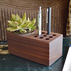 a pen holder with a succulent plant in it and two pens on top