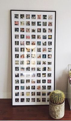 a cactus sitting on top of a wooden table next to a white framed poster with photos