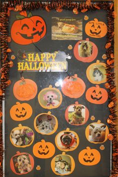 a halloween photo frame with dogs and pumpkins on it, all decorated in orange