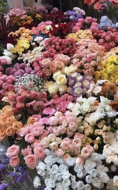 many different colored flowers are arranged together