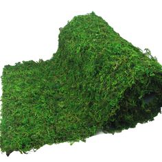 a roll of moss on a white background