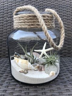 a glass jar filled with sand and air plants