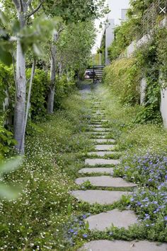 a stone path with blue flowers and greenery