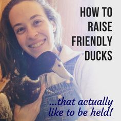 a woman holding a baby duck in her arms with the caption how to raise friendly ducks that actually like to be held