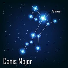 the zodiac sign canis major on a dark blue background with stars in the sky