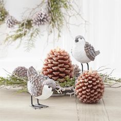 two birds are sitting on pine cones and one bird is standing next to the pine cone