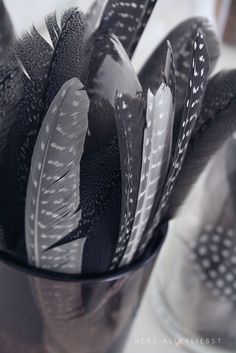 black and white feathers are arranged together