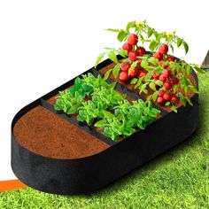 a planter with strawberries growing in it on the grass