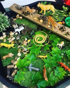 a tray filled with fake animals and plants