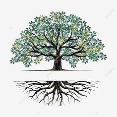 a tree with green leaves and roots on a white background, illustration, drawing, plant png and psd