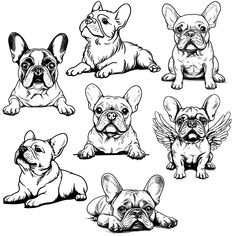 four different types of french bulldogs with wings on their backs and heads, all in black and white