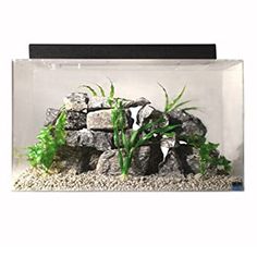 an aquarium with rocks and plants in it