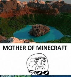 an image of a meme with the caption mother of minecraft on it