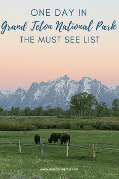 One Day In Grand Teton National Park: The Must See's - Wandering Stus Reflection Photos, Visit Usa, National Park Vacation, Lake Boat, Jackson Hole