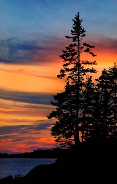 the sun is setting behind some trees by the water with clouds in the sky above