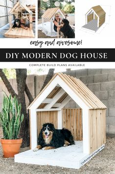 the diy modern dog house is made out of wood