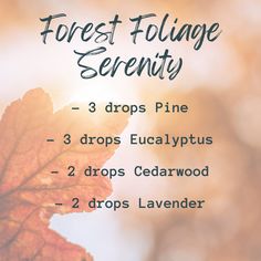 5 Fall Essential Oil Blends — Life With Nikita Fall Essential Oil Blends, Fall Essential Oils, Diy Essential Oil Recipes, Essential Oils Guide, Essential Oils Herbs