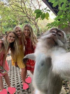 three girls are posing with a monkey in the foreground and hearts on the ground