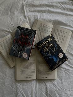 Aerial view of books on a  bed. 3 books lay open to see pages. 2 books lay closed on top showing "Six of Crows" and "Shadow and Bone". Shadow And Bone Aesthetic Book, Shadow And Bone Series Books, Shadow And Bone Cover, Shadow And Bone Trilogy, Shadow And Bone Collectors Edition, Netflix Shadow And Bone, The Grishaverse, Bone Books, Netflix Show