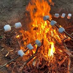 marshmallows roasting over an open fire in the woods