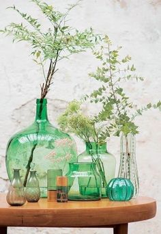 several vases with plants in them sitting on a table