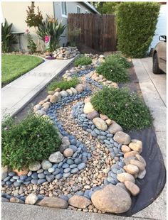 a garden with rocks and plants on the side of the road in front of a house