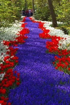 people walking down a path lined with colorful flowers