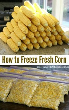 how to freeze fresh corn from the freezer and use it as a snack for lunch