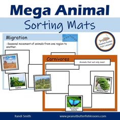 an animal sorting chart with pictures and captions for sorting animals in the wild, including cacti