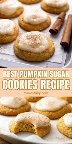 the best pumpkin sugar cookies recipe