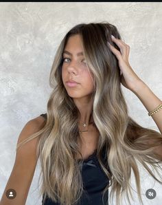 Platinum Brown Hair Balayage, Brown Fade Into Blonde Hair, Partial Highlights With Face Framing, Lived In Ashy Blonde Balayage, Smudge Root Bronde, Lived In Blonde On Dark Hair, Blonde Bronde Haircolor, Low Maintenance Bronde Hair Color, Colors That Make You Look Tan