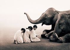 three women are sitting on the ground with an elephant in front of them and another woman standing next to her