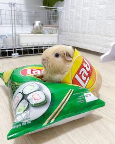 a hamster is sitting on top of a bag of sushi