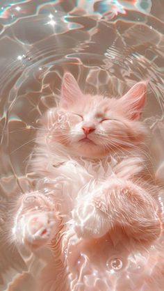 a white cat laying in water with its eyes closed