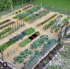 an aerial view of a vegetable garden in the middle of a field with lots of green plants