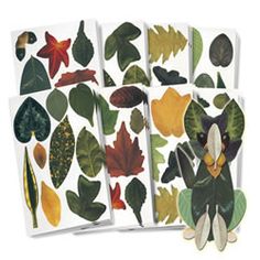 four cards with leaves and acorns on them, all in different colors from green to red