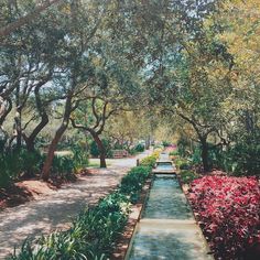 a garden with lots of trees and flowers