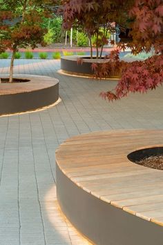 an empty park with benches and trees in the background