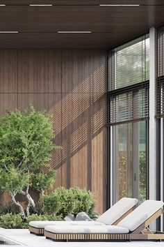 an empty lounge chair next to a tree in front of a building with large windows