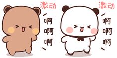 Chibi Bear, Peach Cat, Bear Couple, Bubu Dudu, Cartoon Pictures, Lamborghini Cars