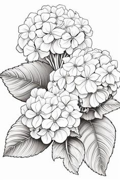 a black and white drawing of flowers with leaves