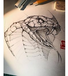 a pencil drawing of a snake's head on top of a piece of paper