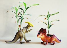 two toy dinosaurs playing with each other in front of some corn stalks on a white background