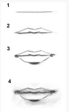 four different types of lip shapes on a white background, each with one line drawn to the