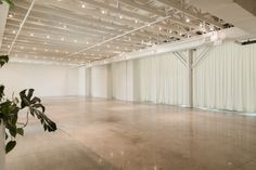 an empty room with white curtains and plants