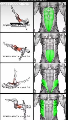 an image of the back muscles and their functions in this video game, you can see how