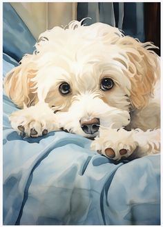 a white dog laying on top of a blue blanket